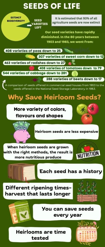 93% of heirloom seed varieties have gone extinct. Reasons to save heirloom seeds: They have history, they can be more nutritious, they have variety of shapes and colours, They are cheaper and save you money. Save the seeds. Garden Faerie Botanicals will teach you how to save seeds.