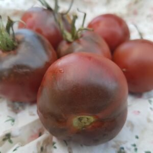 Organically grown De Barao Black Tomatoes. Unique paste variety, cold tolerant, Russian Heirloom.