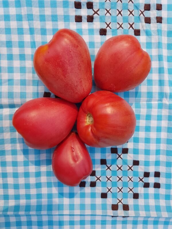 Buffalo Heart Heirloom Tomatoes from Garden Faerie Botanicals Seed Company.