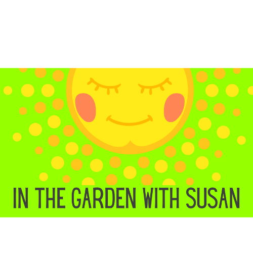 In The Garden With Susan- a Podcast about saving seeds, growing heirlooms and preserving the garden.
