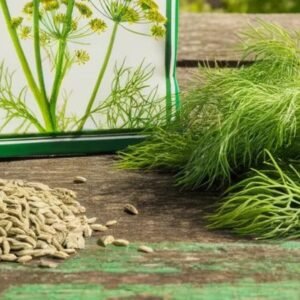 Traditional Dill Seeds. Organically Grown in British Columbia Canada. The image shows the herbs, seeds and flowers of these heritage seeds.