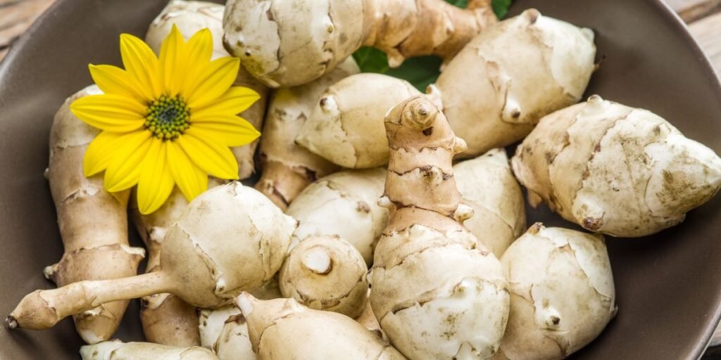 What are Jerusalem Artichokes? Organically grown in British Columbia Canada by Garden Faerie Botanicals. The online catalogue offers 7 varieties that can be shipped across Canada.