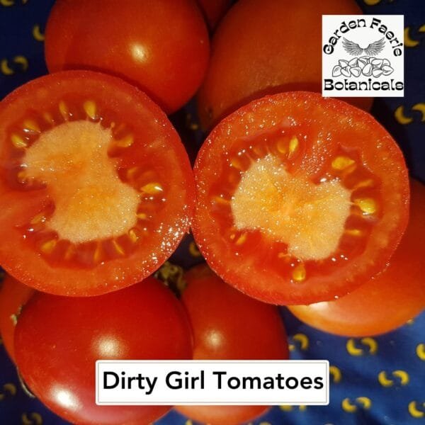 Dirty Girl Tomato seeds are used for Dry Farming. Organically grown by Garden Faerie Botanicals. canada